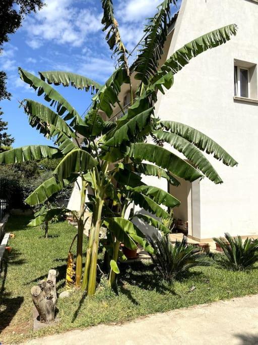Casa Woow Apartment Carini Exterior foto